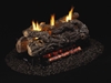 Picture for category See-Through Vent Free Gas Logs