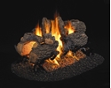 Picture of Charred Oak See Thru Vented Log Set