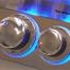 Picture of Firemagic Built-In Echelon Diamond E660I Gas Grill