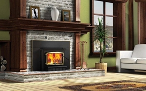 Picture of Osburn 2000 Wood Insert