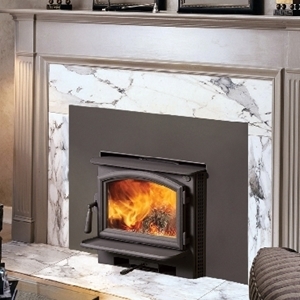Picture of Lopi Answer II NexGen-Fyre Wood Insert